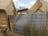 L COMME LAC TITICACA (3) - PÉ