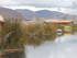L COMME LAC TITICACA (3) - PÉ