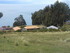L COMME LAC TITICACA (4) - PÉ