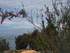 L COMME LAC TITICACA (4) - PÉ