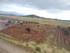 L COMME LAC TITICACA (5) - PÉ