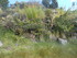L COMME LAC TITICACA (5) - PÉ