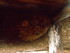 V COMME VISOKO (4) - BOSNIE-HE
