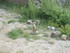 V COMME VALLÉE DES PYRAMIDES 