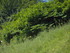 V COMME VALLÉE DES PYRAMIDES 