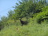 V COMME VALLÉE DES PYRAMIDES 