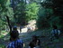 V COMME VALLÉE DES PYRAMIDES 