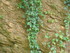 V COMME VALLÉE DES PYRAMIDES 