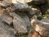 V COMME VALLÉE DES PYRAMIDES 