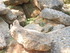 V COMME VALLÉE DES PYRAMIDES 