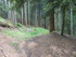 B COMME BOGOMILES - BOSNIE-HER