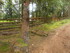 B COMME BOGOMILES - BOSNIE-HER