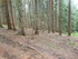 B COMME BOGOMILES - BOSNIE-HER