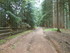 B COMME BOGOMILES - BOSNIE-HER
