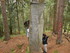 B COMME BOGOMILES - BOSNIE-HER