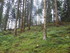B COMME BOGOMILES - BOSNIE-HER