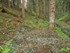 B COMME BOGOMILES - BOSNIE-HER