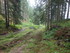 B COMME BOGOMILES - BOSNIE-HER