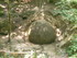 Z COMME ZAVIDOVICI - BOSNIE-HE