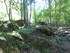 Z COMME ZAVIDOVICI - BOSNIE-HE