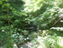 Z COMME ZAVIDOVICI - BOSNIE-HE