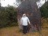 BROCELIANDE LA PORTE DES SECRE