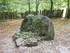 BROCELIANDE LA PORTE DES SECRE