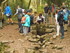 BROCELIANDE LA PORTE DES SECRE