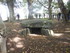 BROCELIANDE LA PORTE DES SECRE