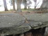 BROCELIANDE LA PORTE DES SECRE