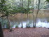 BROCELIANDE LA PORTE DES SECRE
