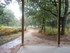 M COMME MONTENEUF - MORBIHAN -