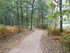 M COMME MONTENEUF - MORBIHAN -