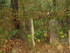 M COMME MONTENEUF - MORBIHAN -