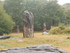 M COMME MONTENEUF - MORBIHAN -