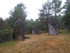 M COMME MONTENEUF - MORBIHAN -