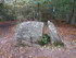 B COMME BROCELIANDE, BOUCLE DE