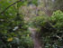 B COMME BROCELIANDE, BOUCLE DE