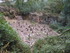 B COMME BROCELIANDE, BOUCLE DE