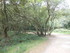 B COMME BROCELIANDE, BOUCLE DE