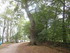 B COMME BROCELIANDE, BOUCLE DE