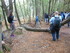 B COMME BROCELIANDE, FONTAINE 