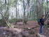 B COMME BROCELIANDE, FONTAINE 
