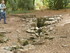 B COMME BROCELIANDE, FONTAINE 