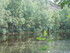 B COMME BROCELIANDE, LE VAL SA