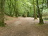 B COMME BROCELIANDE, LE VAL SA