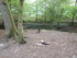 B COMME BROCELIANDE, LE VAL SA