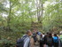 B COMME BROCELIANDE, LE VAL SA