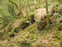 B COMME BROCELIANDE, LE VAL SA