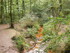 B COMME BROCELIANDE, LE VAL SA